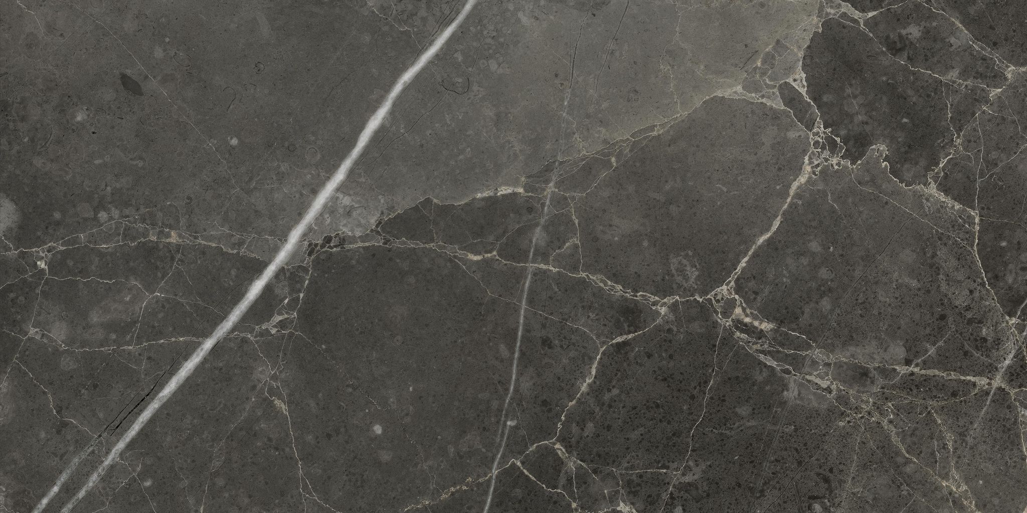 Florence 12X24F Carbon Matte | Aromaz Home