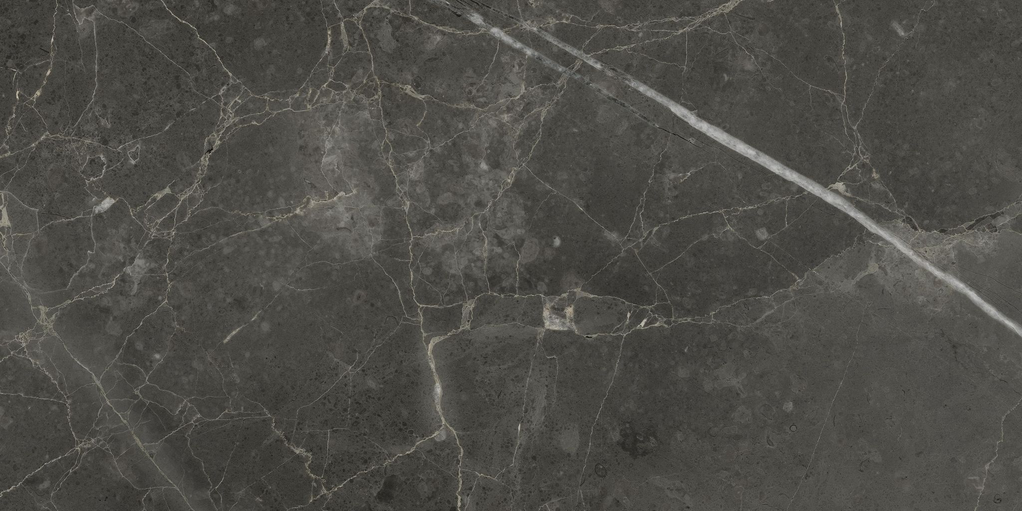 Florence 12X24F Carbon Matte | Aromaz Home