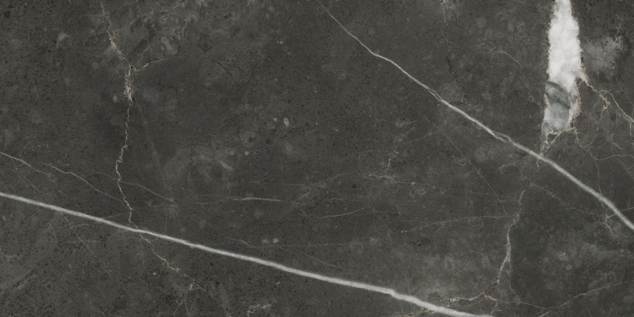 Florence 12X24F Carbon Matte | Aromaz Home