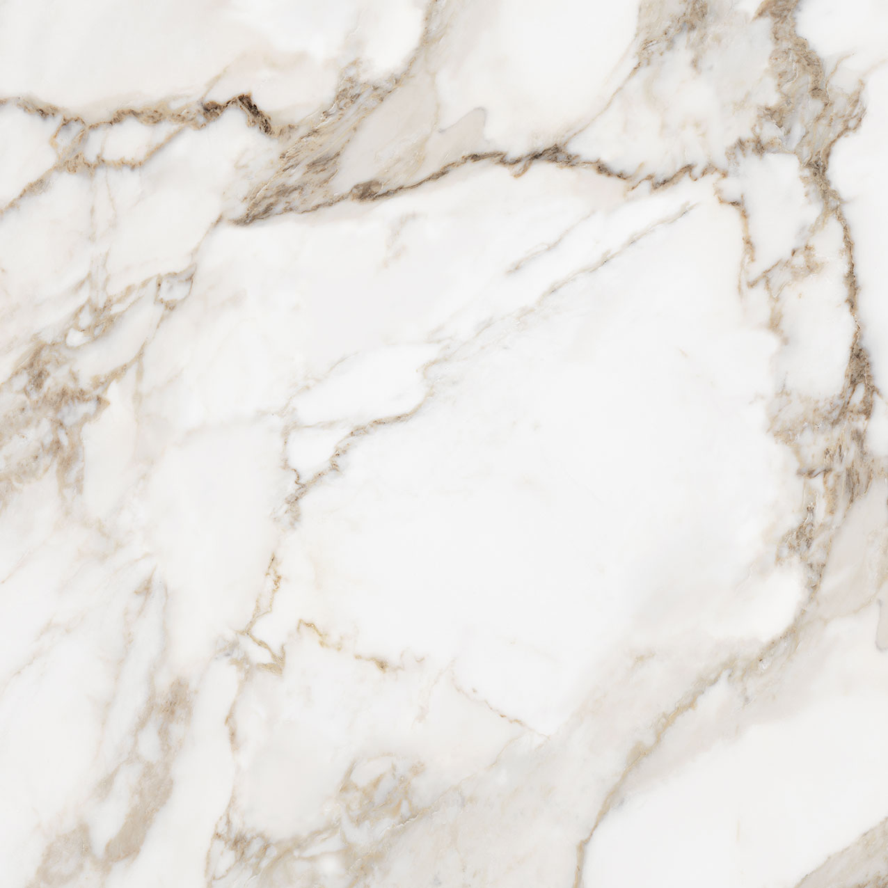 Royal Stoneworks 36X36 Calacatta Royale Honed | Aromaz Home