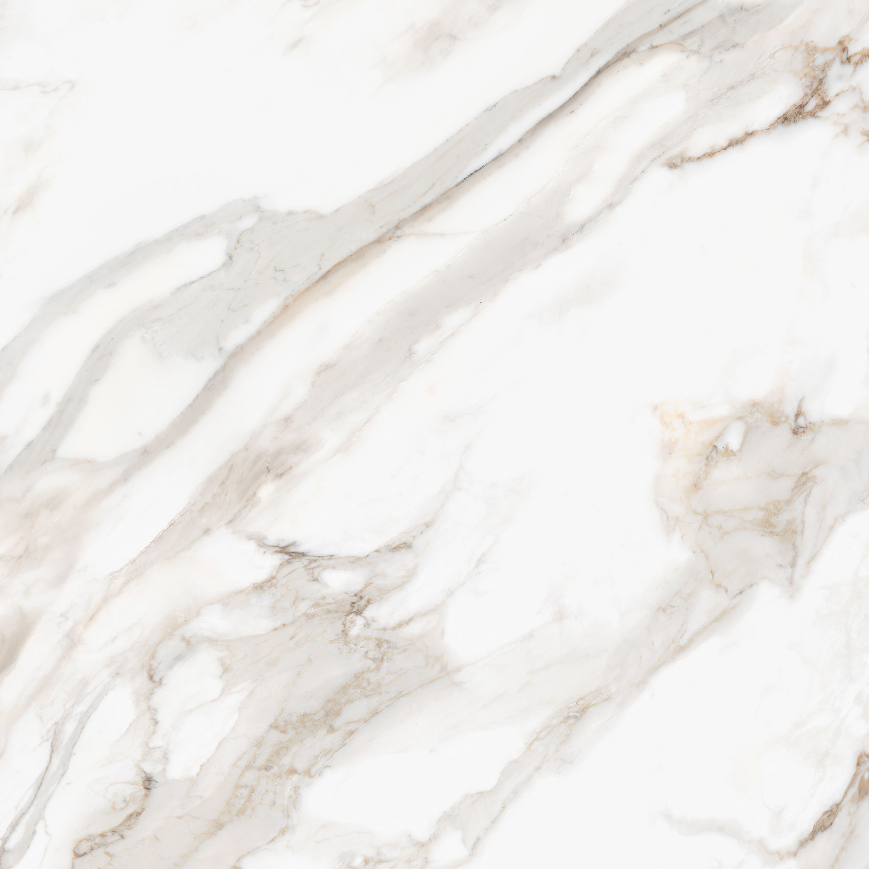 Royal Stoneworks 48X48 Calacatta Royale Honed | Aromaz Home
